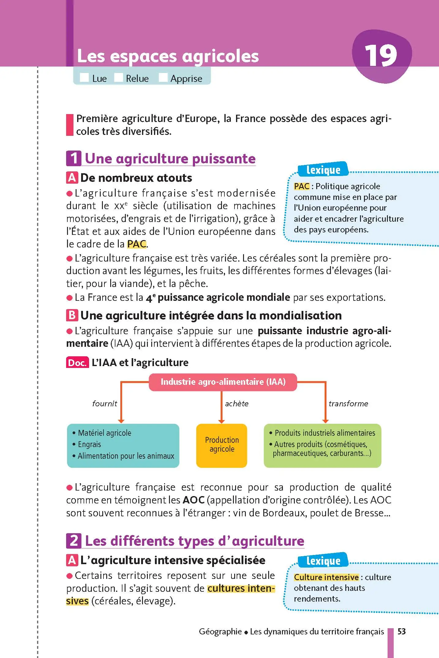 Histoire-Géographie - EMC (Enseignement moral et civique) 3e - Mes fiches pour le Brevet - Brevet 2027 - Fiches - 9782091503028 - page intérieure 53