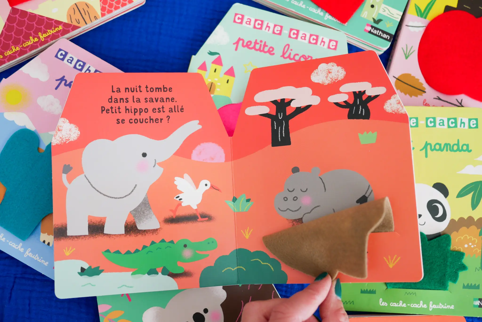 Cache-cache petit hippo - Livre matière - éveil -  Dès 6 mois - Livre d'éveil - 9782092495094 - page-intérieure 6