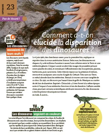 Toute une année avec Jamy - La curiosité n'a jamais été aussi addictive - Jamy Gourmaud (Nouveauté 2026) - Livre documentaire - 9782095066130 - page interieure 6