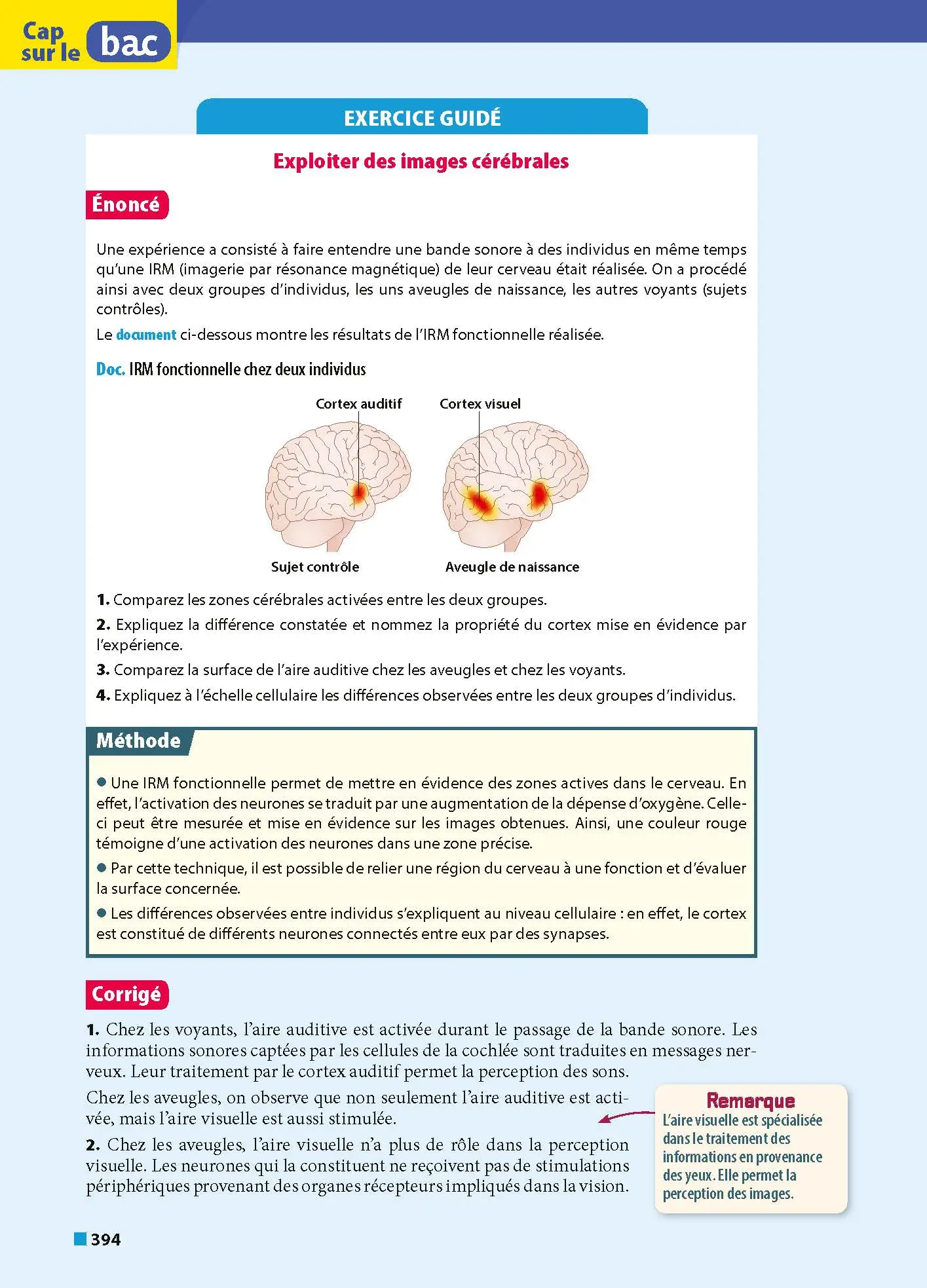 ABC Tout en un Tle - Toutes les matières du tronc commun Terminale - Bac 2027 - Philosophie, Enseignement scientifique, Histoire-Géographie, Anglais, Espagnol + Cahier spécial Bac - Tout-en-un - 9782095035617 - Page intérieure 8