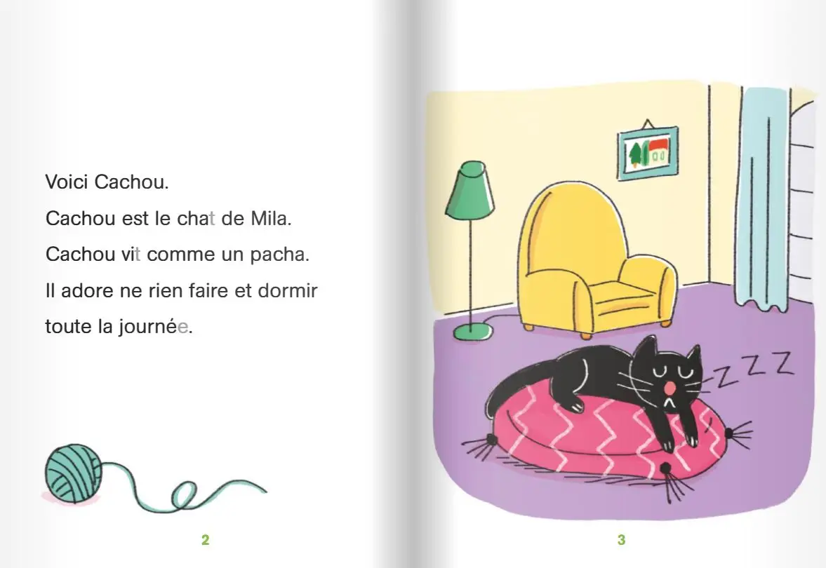 Regarde, je lis avec Noé et Mila  - lecture CP -  Niveau 3 - Le secret de Cachou le chat - Roman - 9782091932309 - page intérieure