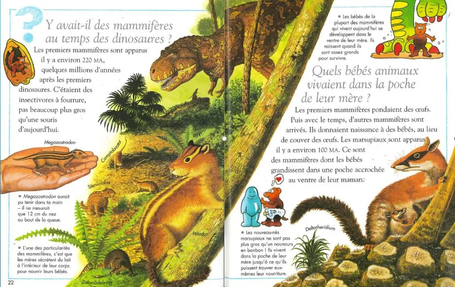 Les animaux préhistoriques - Questions/Réponses - doc dès 7 ans - Livre documentaire - 9782092495438 - page-interieure