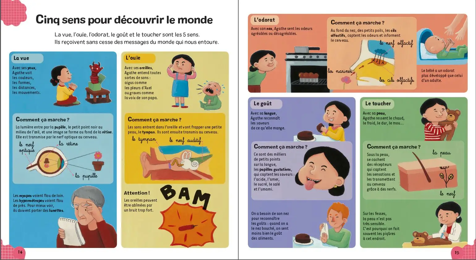 Ma première encyclopédie - 3/6 ans - Livre documentaire - 9782092583531 - page-interieure