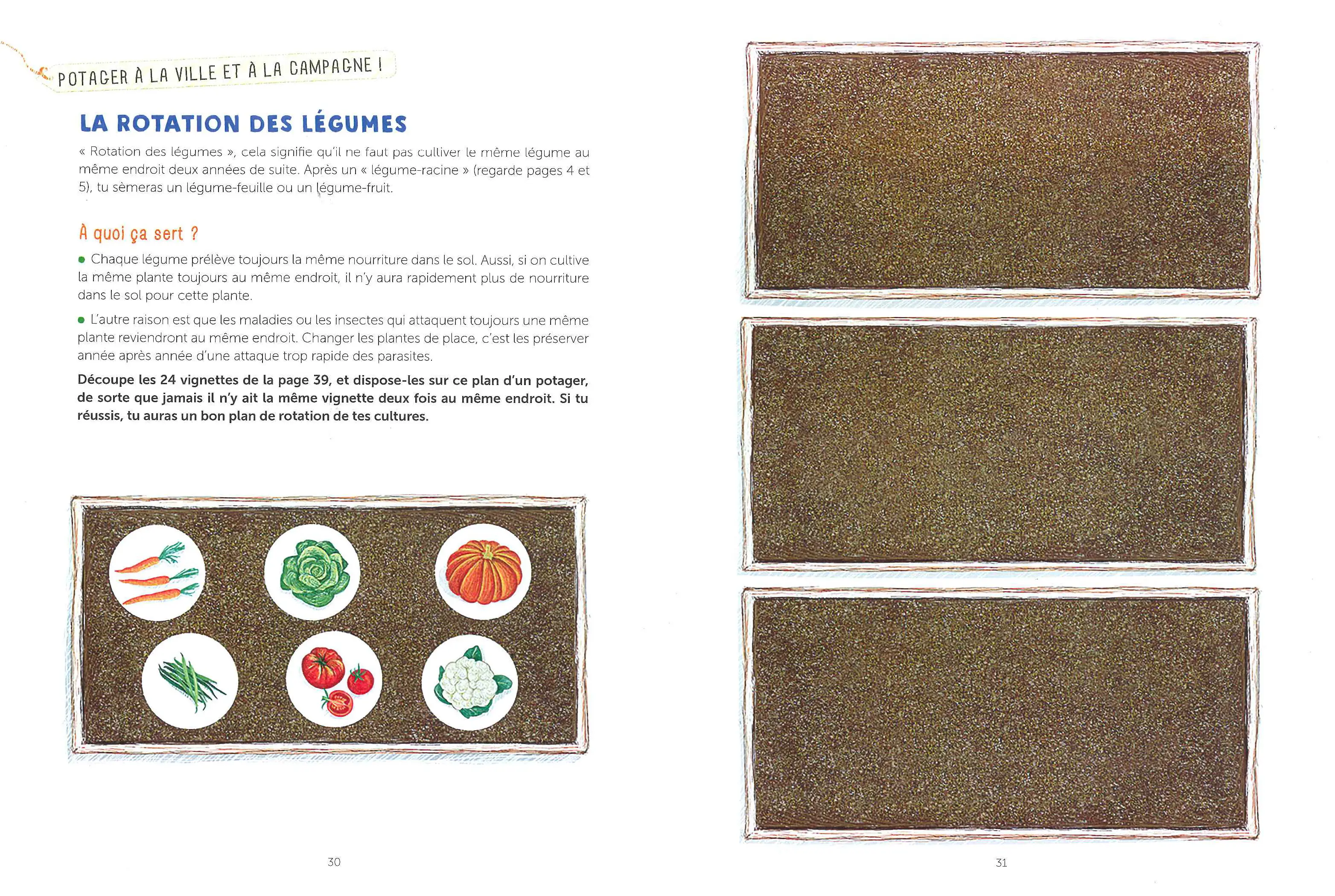 Le potager - Cahier d'observation et d'activités Colibris - 4/7 ans - Cahier d'activités - 9782092588000 - page-interieure