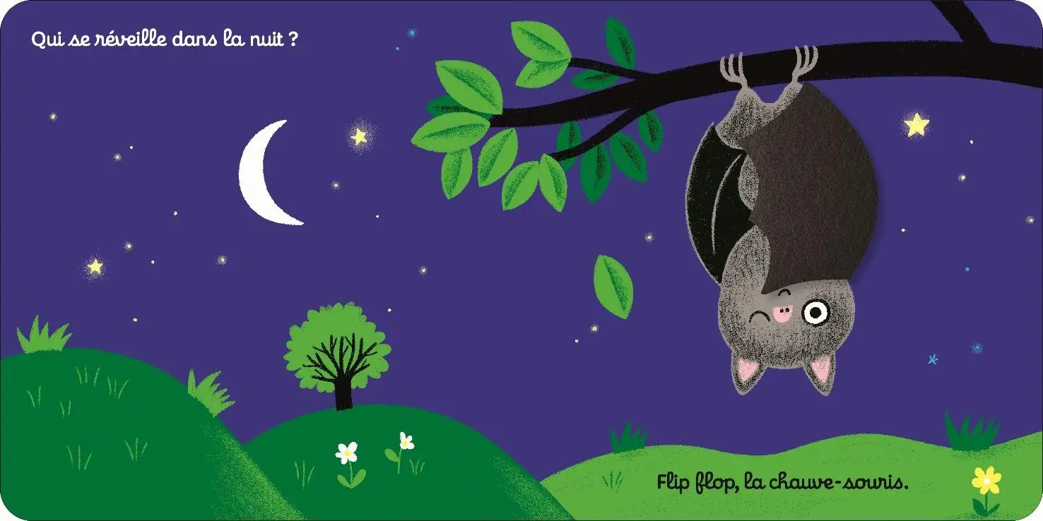 On se cache dans la nuit - livre d'éveil - Dès 6 mois - Livre d'éveil - 9782092589168 - page-interieure