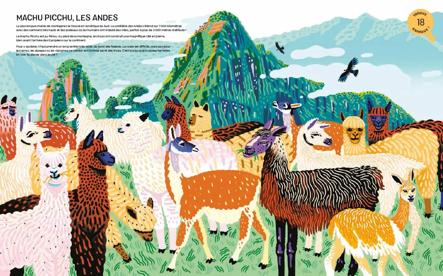 Montagnes - Les trésors de la biodiversité ? se cachent en altitude ! - album grand format - Dès 5 ans - Livre documentaire - 9782092596067 - page intérieure