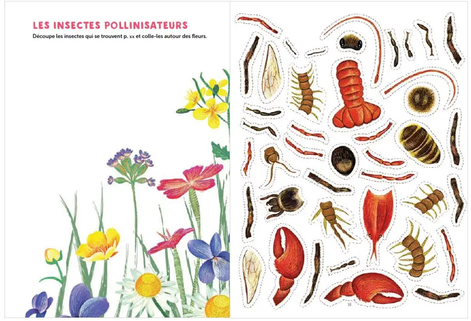 200 Activités Nature - Cahier Colibri - Dès 5 ans - Cahier d'activités - 9782092791653 - page-interieure