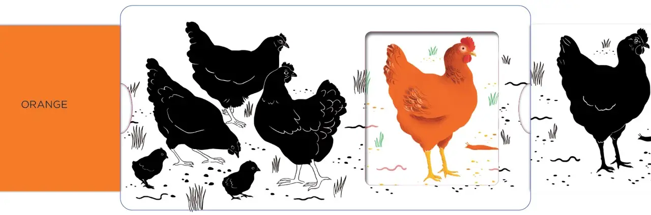 Les couleurs - Un livre en noir et blanc qui passe en couleurs grâce aux animations, pour les bébés des 6 mois. Les belles couleurs - Livre d'éveil - 9782095013844 - page-interieure