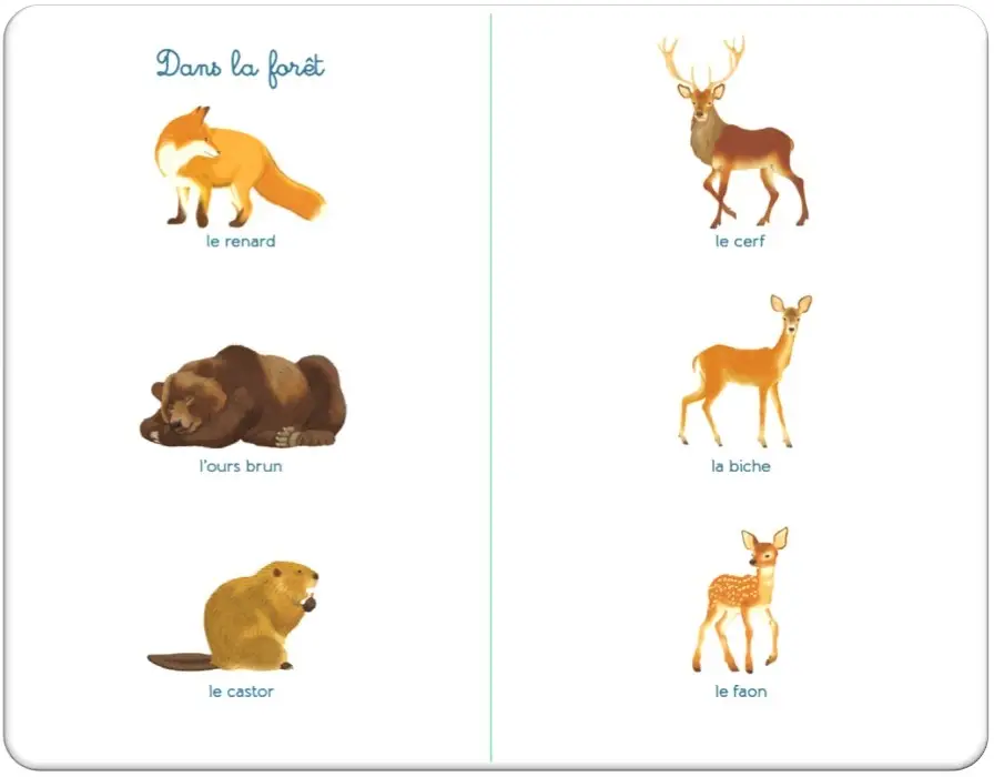 Tout-petit Montessori - Mon imagier des animaux - Dès 12 mois - Coffret - 9782095013868 - page-intérieure