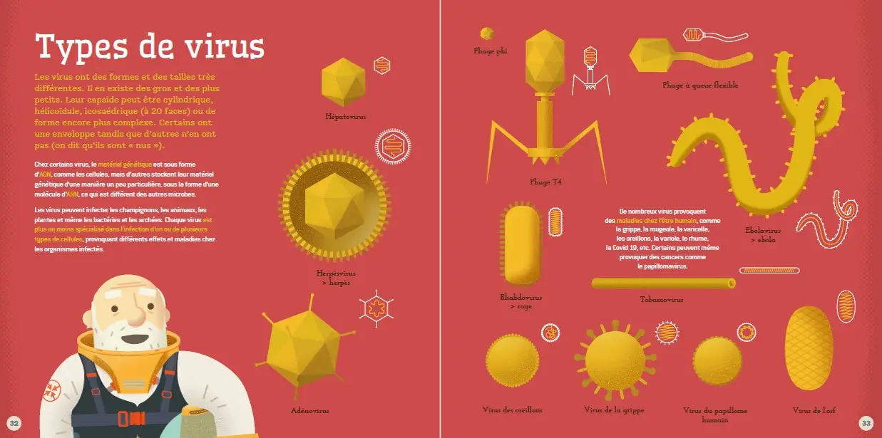 Pr. Darwin présente Microbes, même pas peur ! Tout comprendre sur les microbes, dès 9 ans - Livre documentaire - 9782095016364 - page-interieure