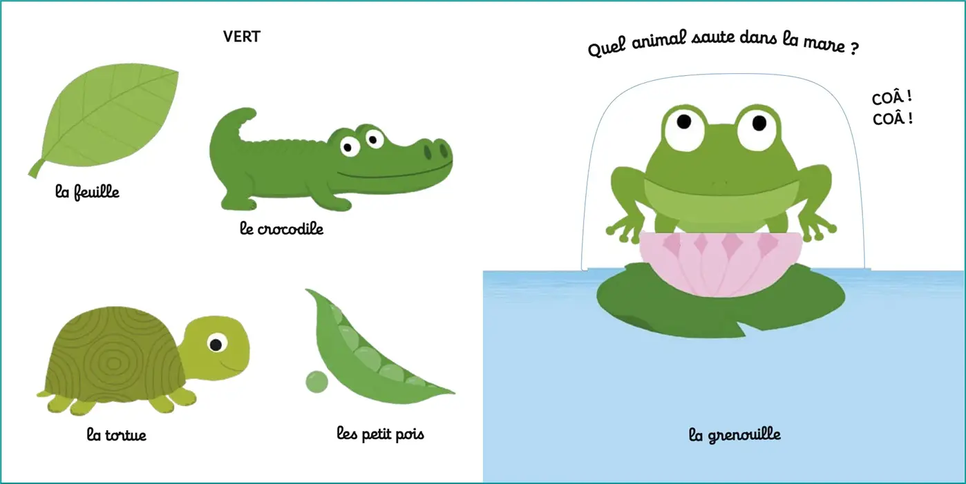 Mon imagier des couleurs - Livre animé Kididoc dès 1 an - Livre documentaire - 9782095025540 - page-interieure
