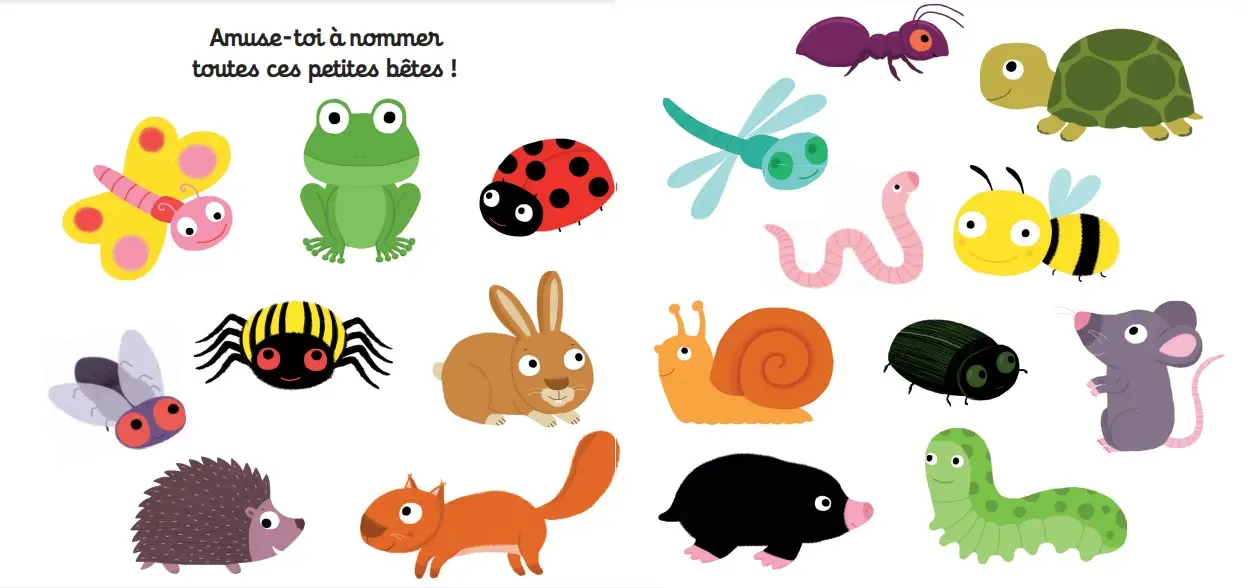 Mon imagier des petites bêtes - imagier animé Kididoc Dès 1 an - Livre documentaire - 9782095025687 - page-interieure