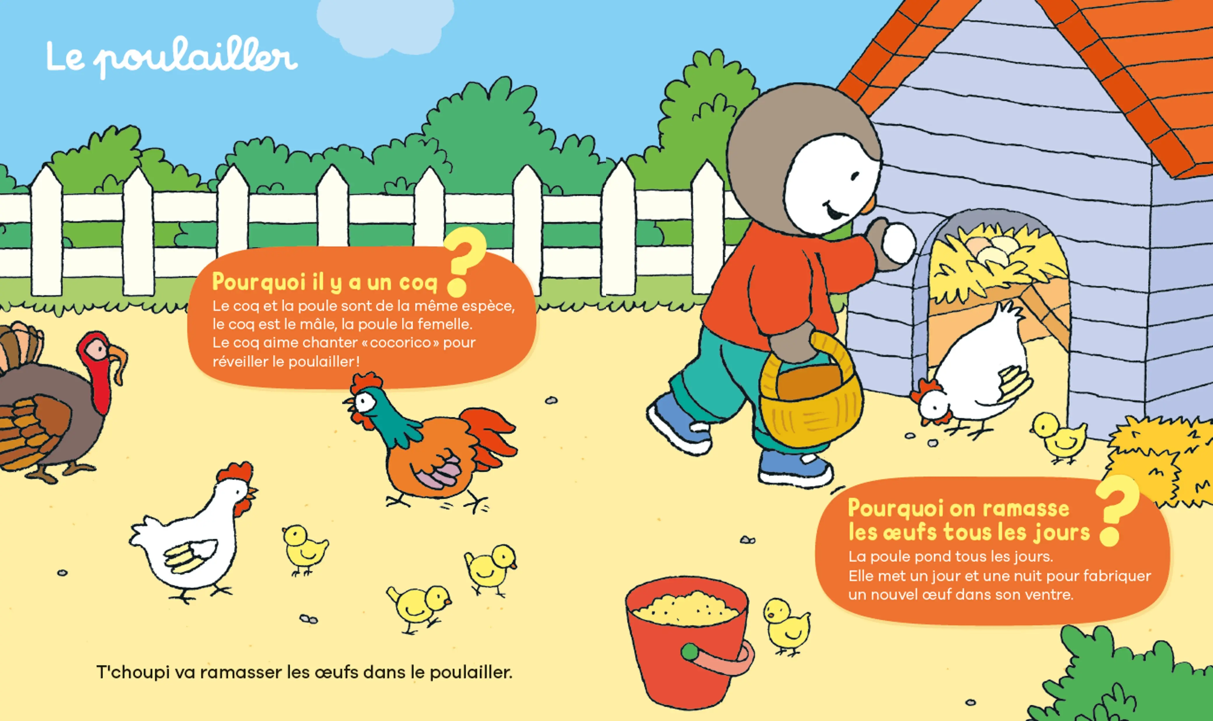 Les Pourquoi de T'choupi : La ferme - 24 réponses simples aux questions des petits -2 ans et plus - Livre documentaire - 9782095043902 - page-interieure