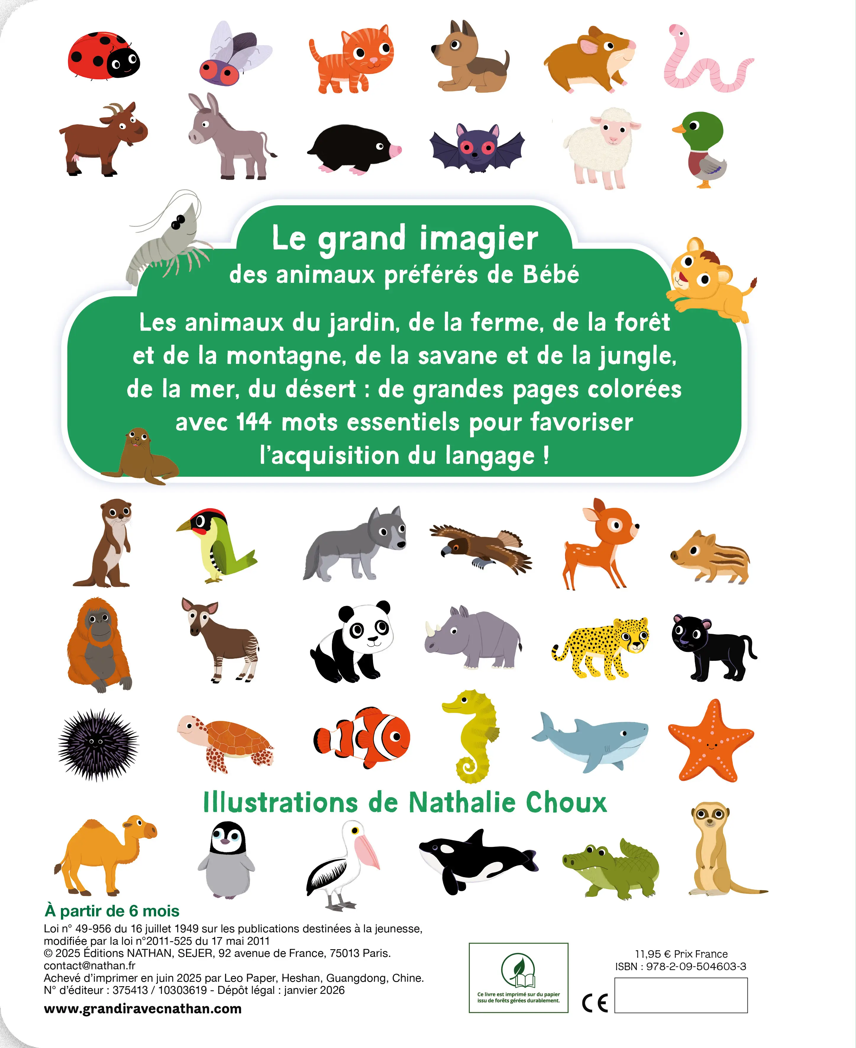 Mon grand imagier des animaux - Plus de 140 animaux à découvrir - dès 1 an - Livre d'éveil - 9782095046033 - page-interieure
