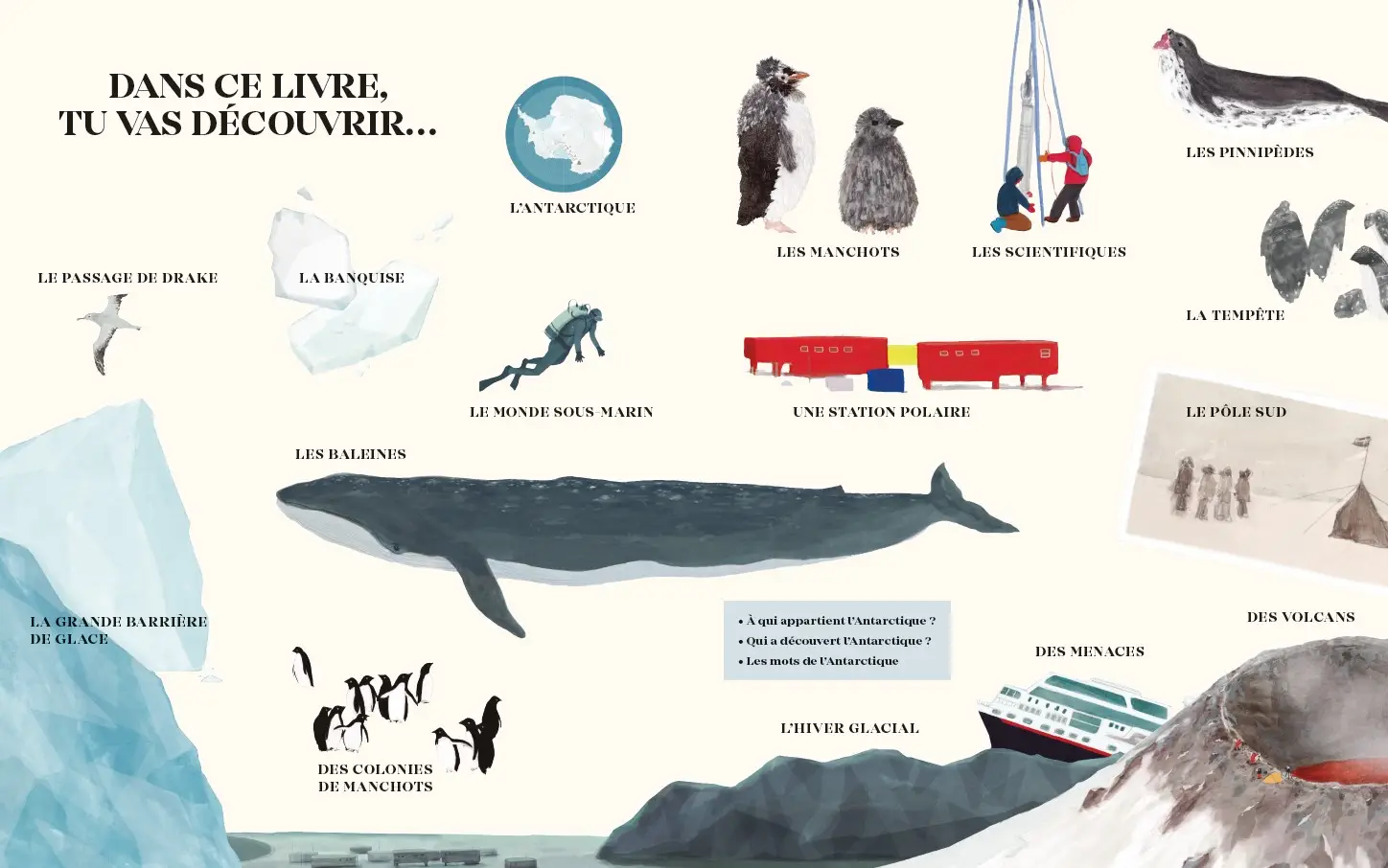 Antarctique - Le continent des merveilles - Grand album dès 7 ans - Livre documentaire - 9782092595497 - page intérieure001