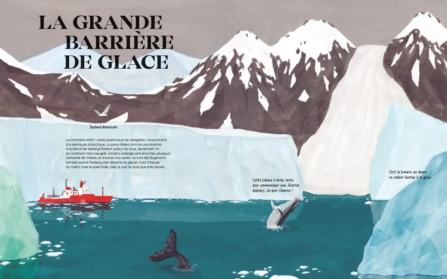 Antarctique - Le continent des merveilles - Grand album dès 7 ans - Livre documentaire - 9782092595497 - page intérieure003