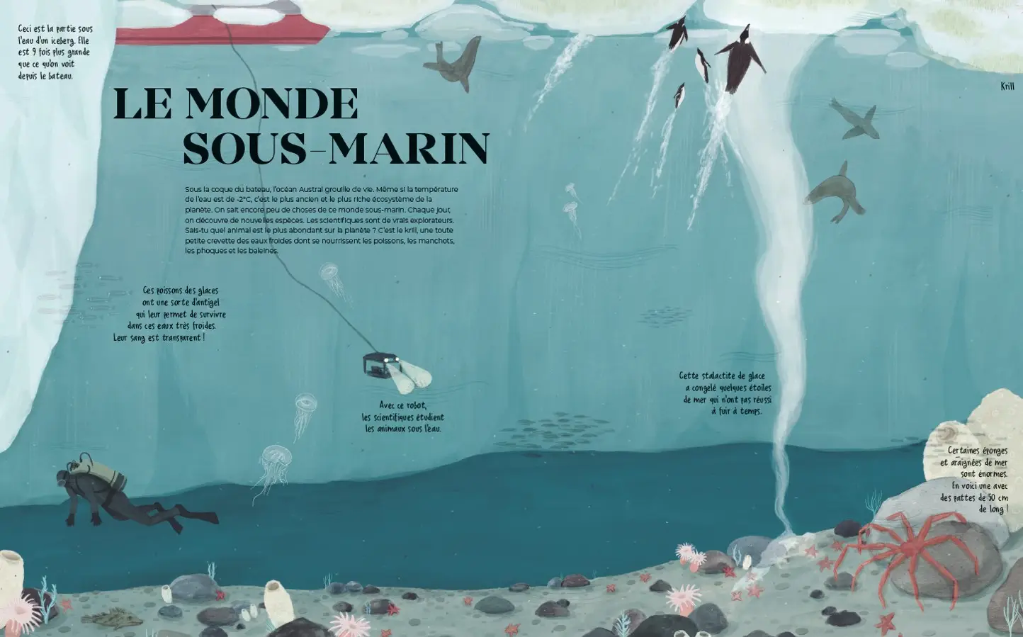 Antarctique - Le continent des merveilles - Grand album dès 7 ans - Livre documentaire - 9782092595497 - page intérieure004