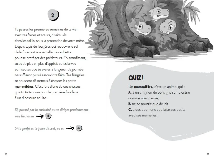 Tu es le héros - Dans la peau d'un dinosaure -  Un livre dont TU ES LE HÉROS ! - Livre immersif - À partir de 8 ans - Roman - 9782095033811 - page-interieure004