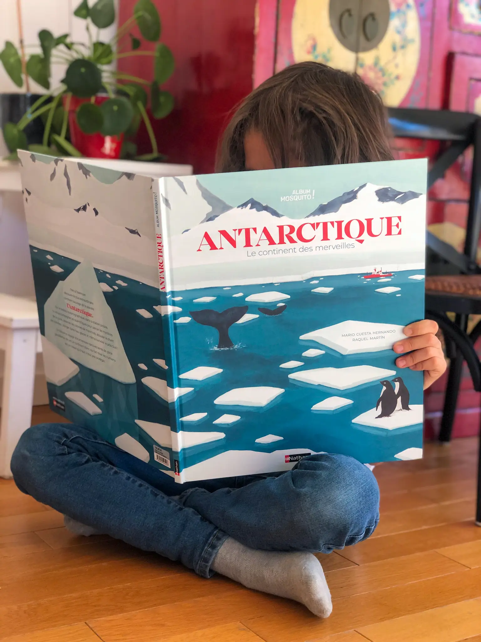 Antarctique - Le continent des merveilles - Grand album dès 7 ans - Livre documentaire - 9782092595497 - page-intérieure005