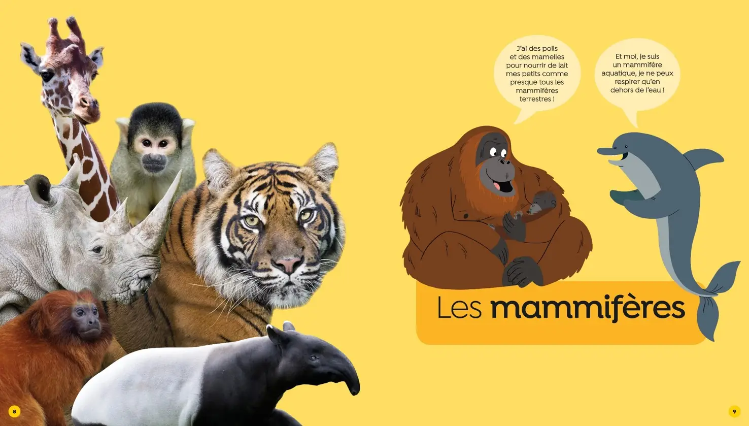 Question Réponses - Tous les animaux - ZooParc de Beauval - dès 5 ans  - Livre documentaire - 9782092490266 - page-interieure1