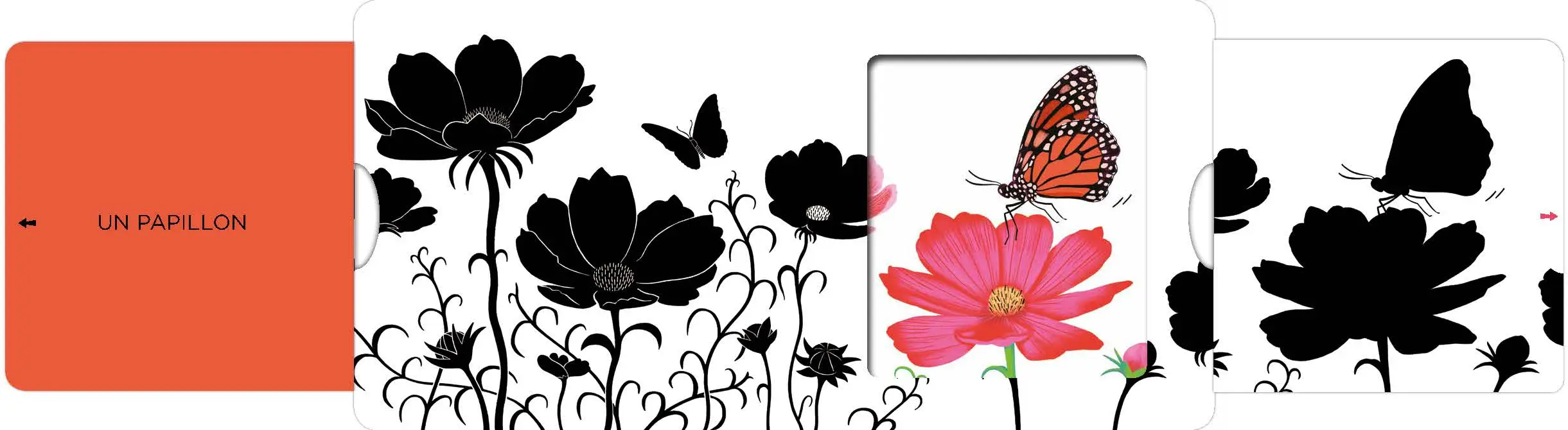 Dans le jardin - Un livre en noir et blanc qui passe en couleurs grâce aux animations, pour les bébés des 6 mois - Livre d'éveil - 9782092490518 - page-interieure1
