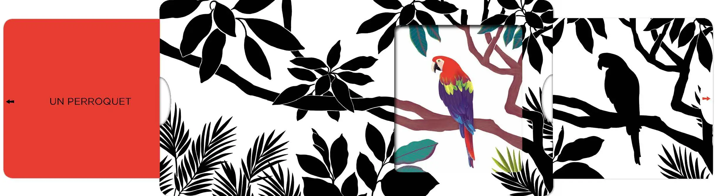 Dans la jungle - Un livre en noir et blanc qui passe en couleurs grâce aux animations, pour les bébés des 6 mois - Livre d'éveil - 9782092490525 - page-interieure1