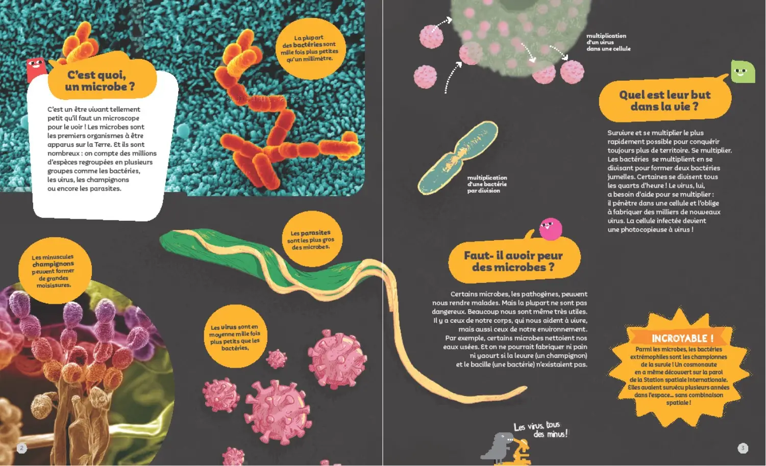 Planète microbes -  Questions/Réponses - doc dès 7 ans - Livre documentaire - 9782092490914 - page-interieure1