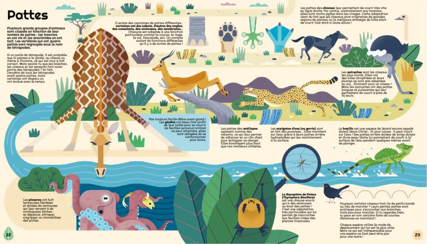 Biodiversité - L'évolution des espèces illustrée - Dès 8 ans - Album Mosquito - Livre documentaire - 9782092492789 - page-interieure1