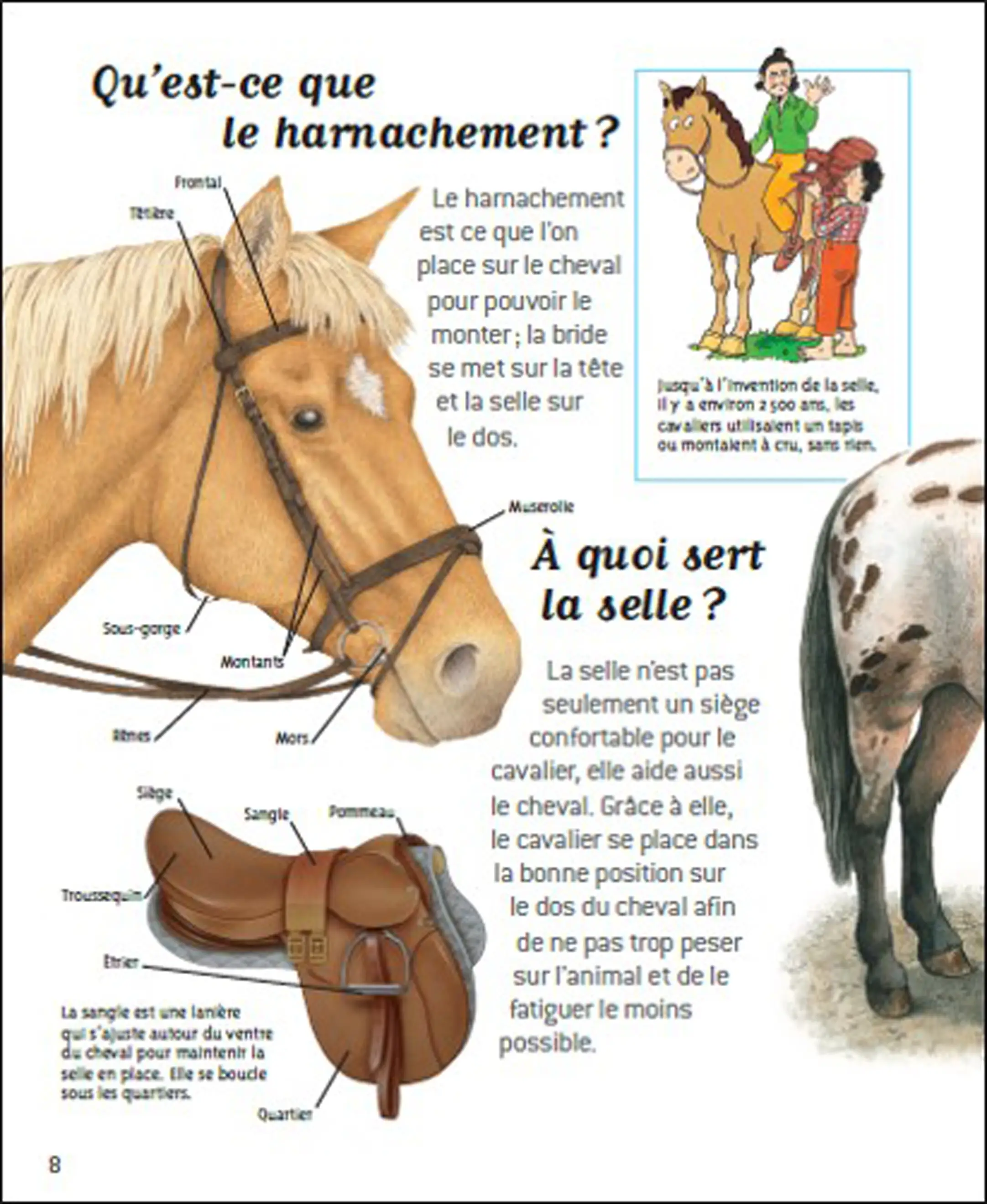 Passion chevaux - Questions/Réponses - doc dès 7 ans - Livre documentaire - 9782092492819 - page intérieure1