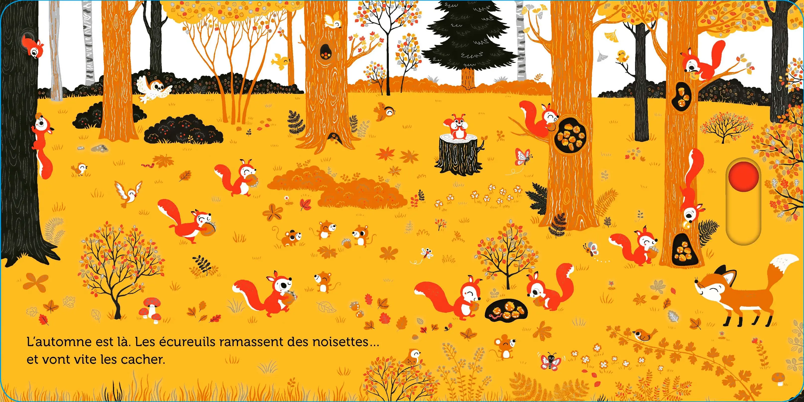 Promenade dans les bois -  livre d'éveil animé, pour les bébés dès 6 mois - Livre d'éveil - 9782092492864 - page intérieure1