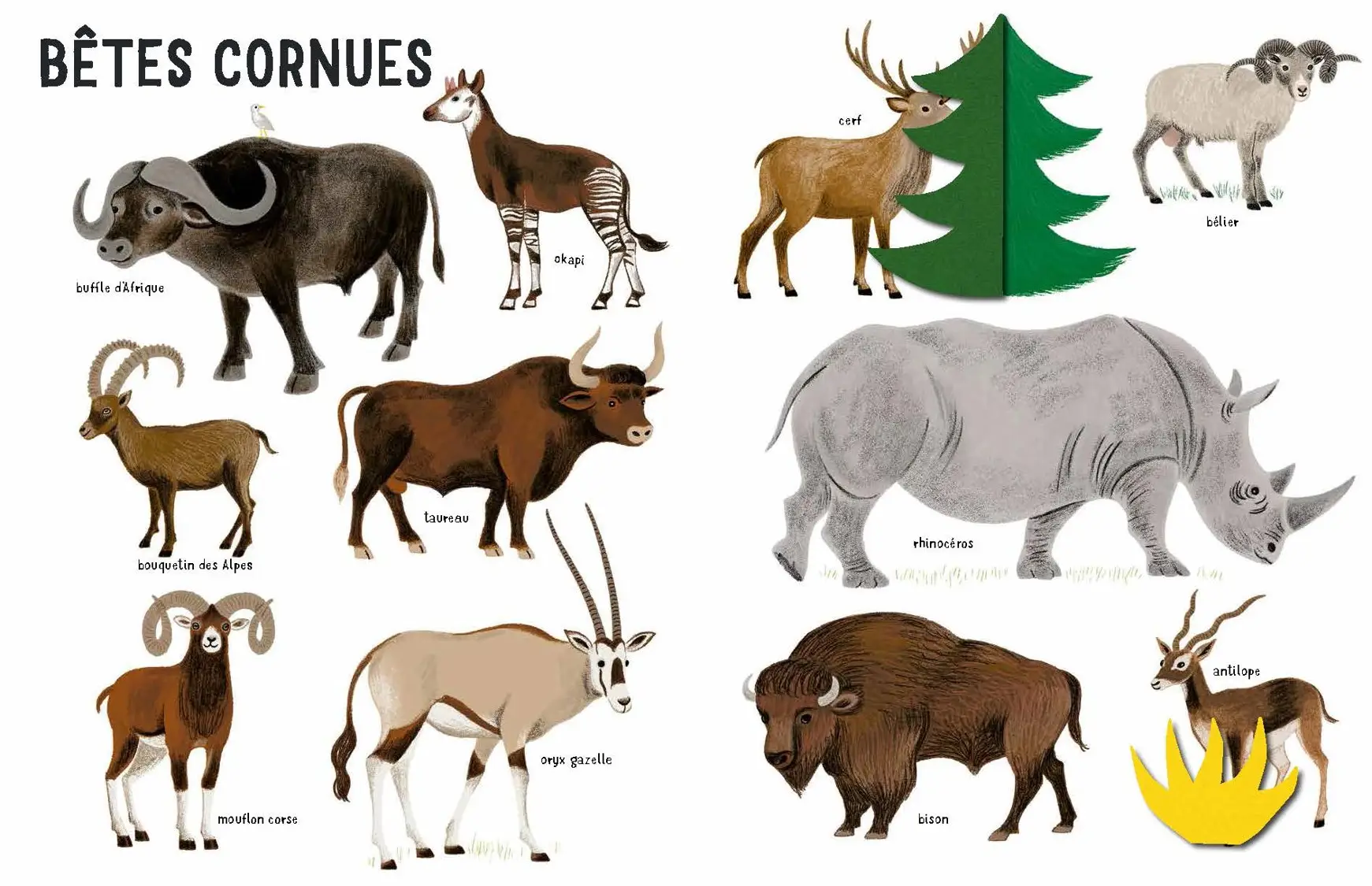 Belles bêtes - un bestiaire extraordinaire avec de grands flaps en feutrine - Dès 6 mois - Livre d'éveil - 9782092495087 - page-interieure1