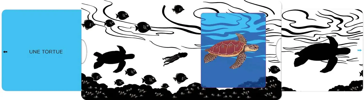 La mer - Un livre en noir et blanc qui passe en couleurs grâce aux animations, pour les bébés des 6 mois - Livre d'éveil - 9782092495131 - page-interieure1