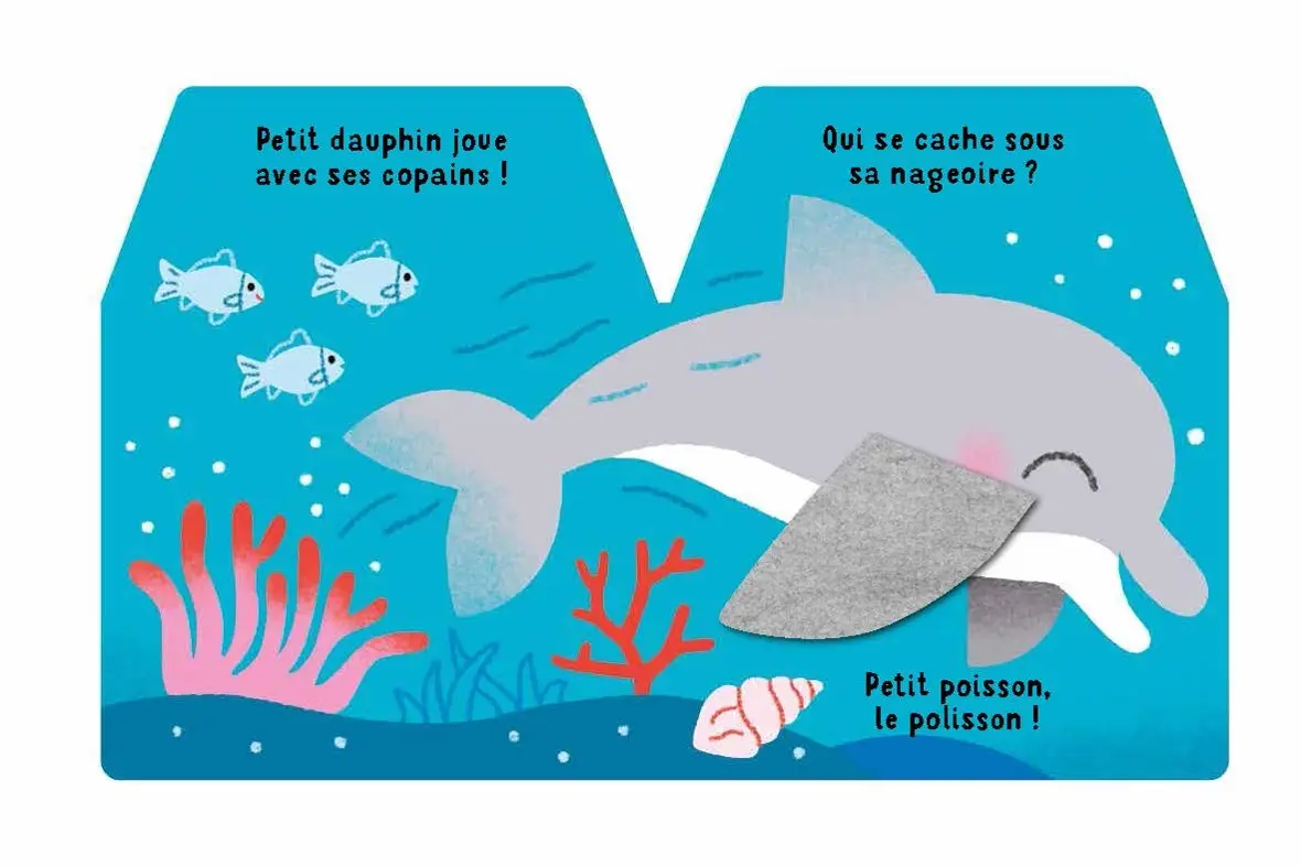 Cache-cache petit dauphin- Livre d'éveil -  Dès 6 mois - Livre d'éveil - 9782092496923 - page-interieure1