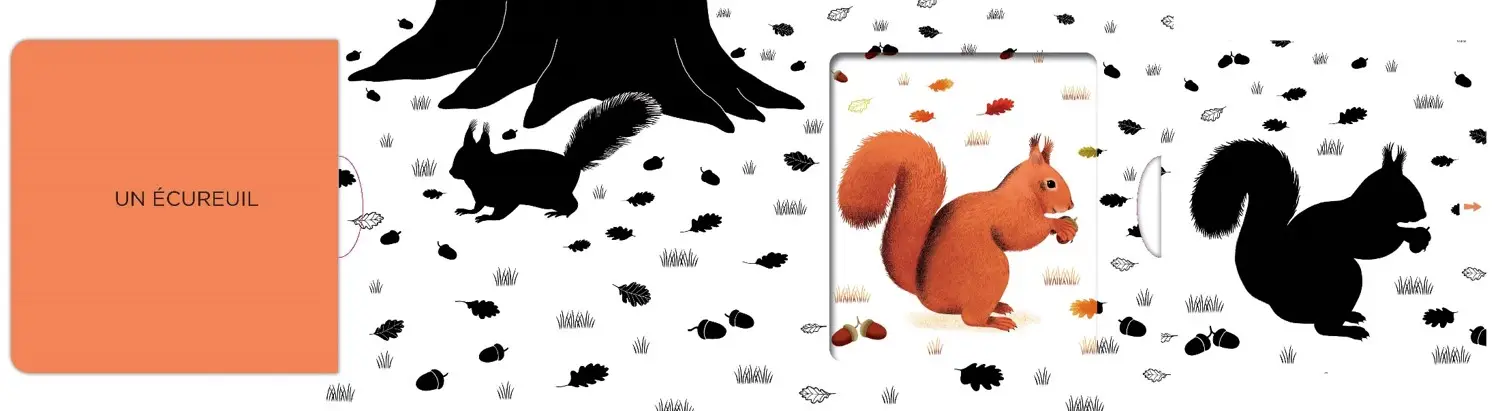 Dans la forêt - Un livre en noir et blanc qui passe en couleurs grâce aux animations, pour les bébés des 6 mois. Les belles couleurs - Livre d'éveil - 9782092497067 - page-interieure1