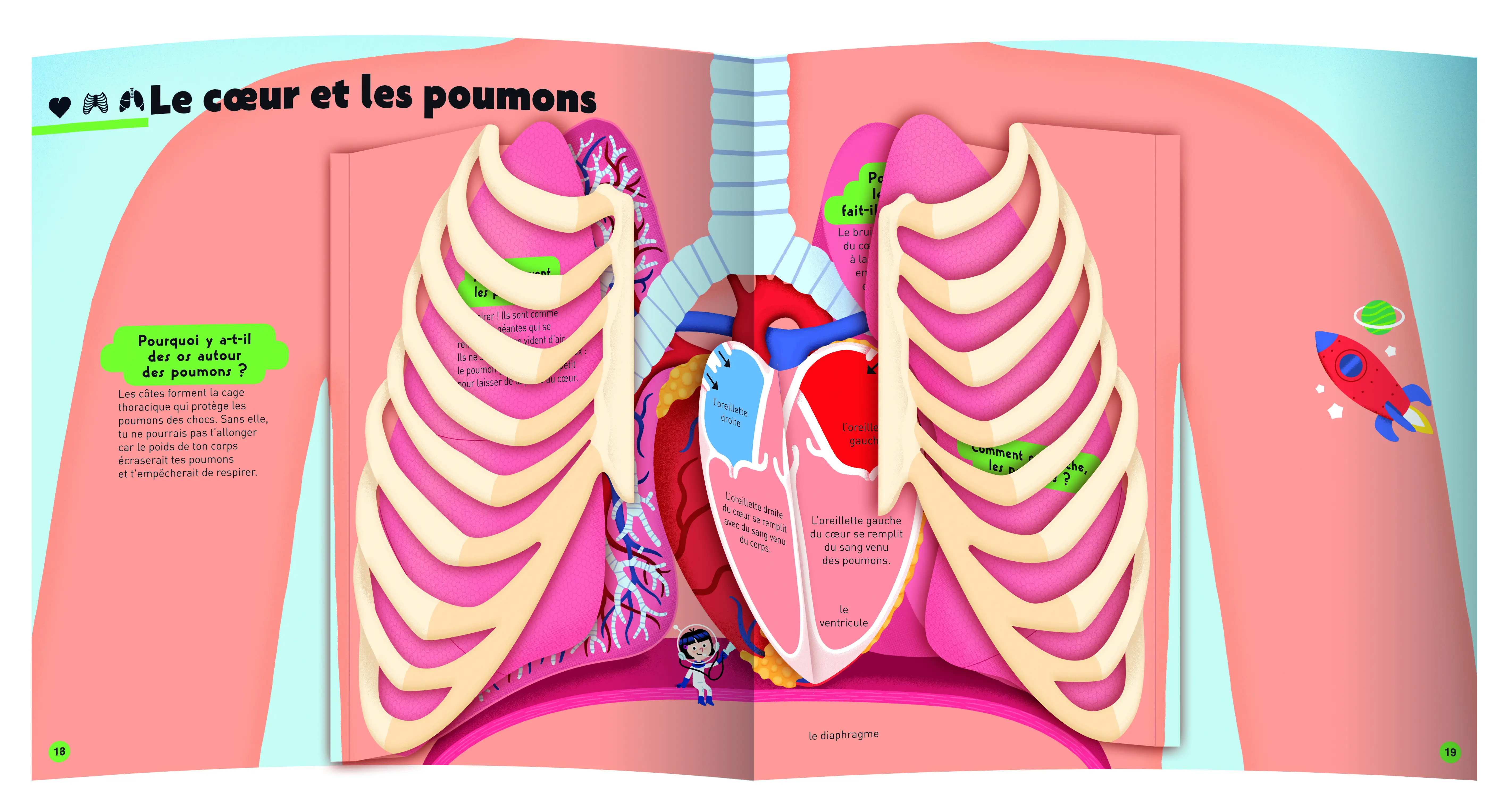 Le grand Kididoc du corps humain - Livre pop-up - dès 4 ans - Livre documentaire - 9782092585610 - page-interieure1