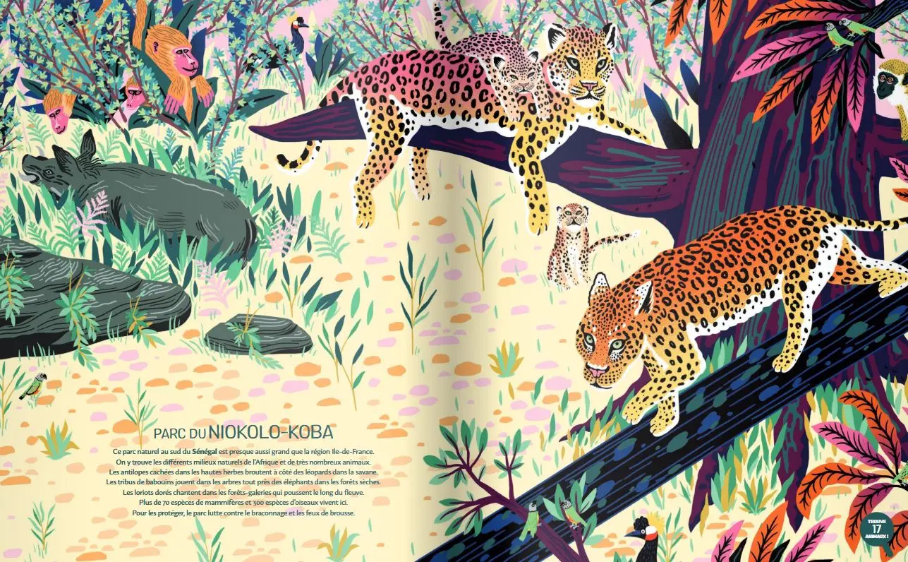 Jungles et réserves naturelles du monde - Un magnifique livre pour partir en voyage dans les jungles du monde et découvrir des animaux sauvages - jeu cherche et trouve - Grand format - Dès 5 ans - Livre documentaire - 9782092585696 - page intérieure1