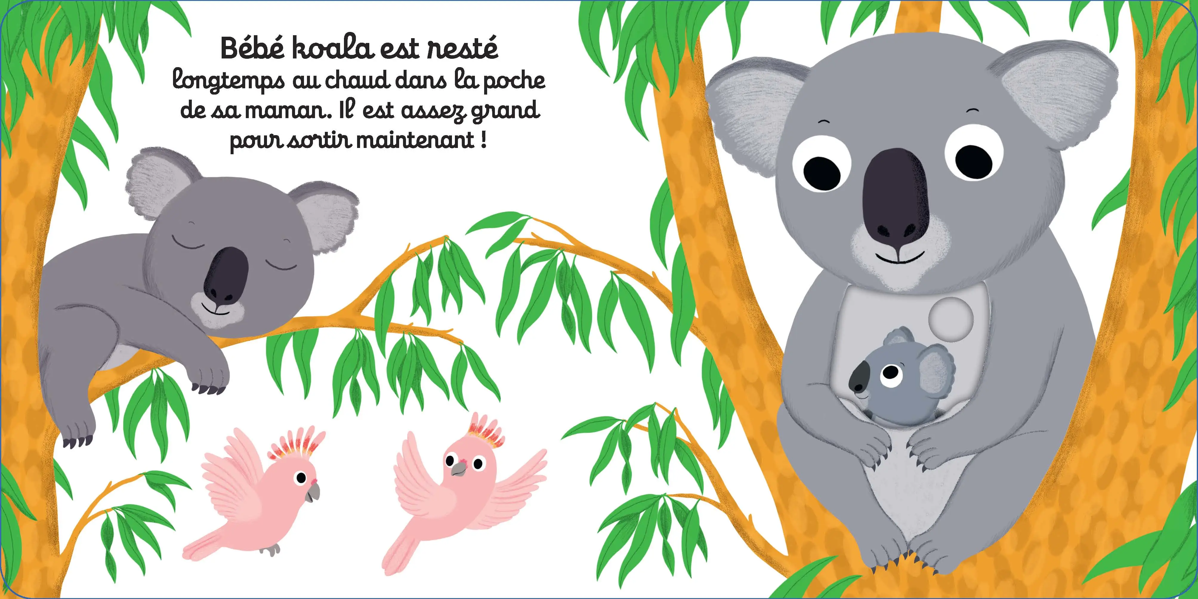 Bonne nuit bébé koala ! - Livre d'éveil animé pour les bébés dès 1 an - Livre documentaire - 9782092591260 - page-interieure1