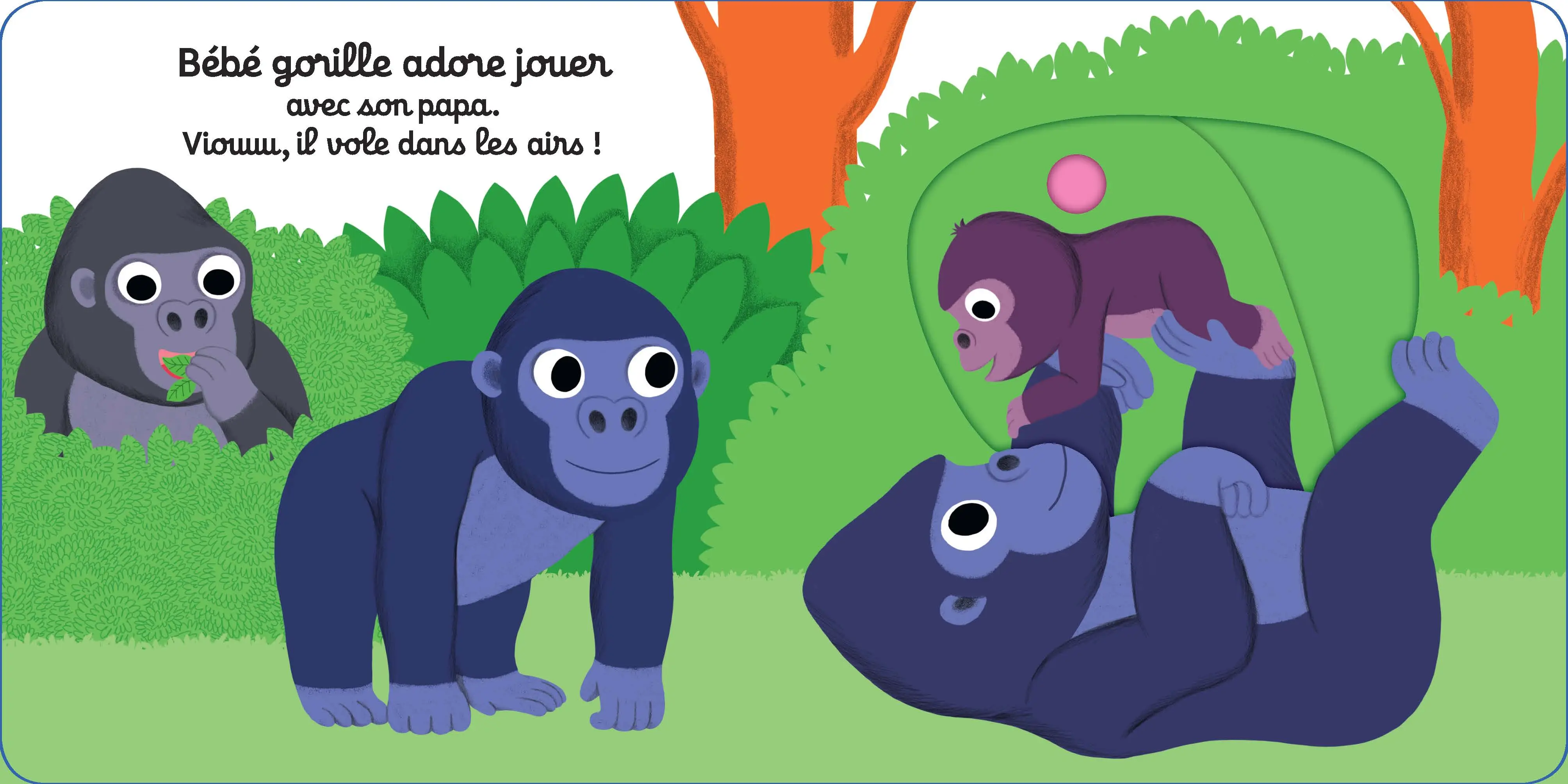 Bonne nuit bébé gorille ! - Livre d'éveil animé pour les bébés dès 1 an - Livre documentaire - 9782092591277 - page-interieure1