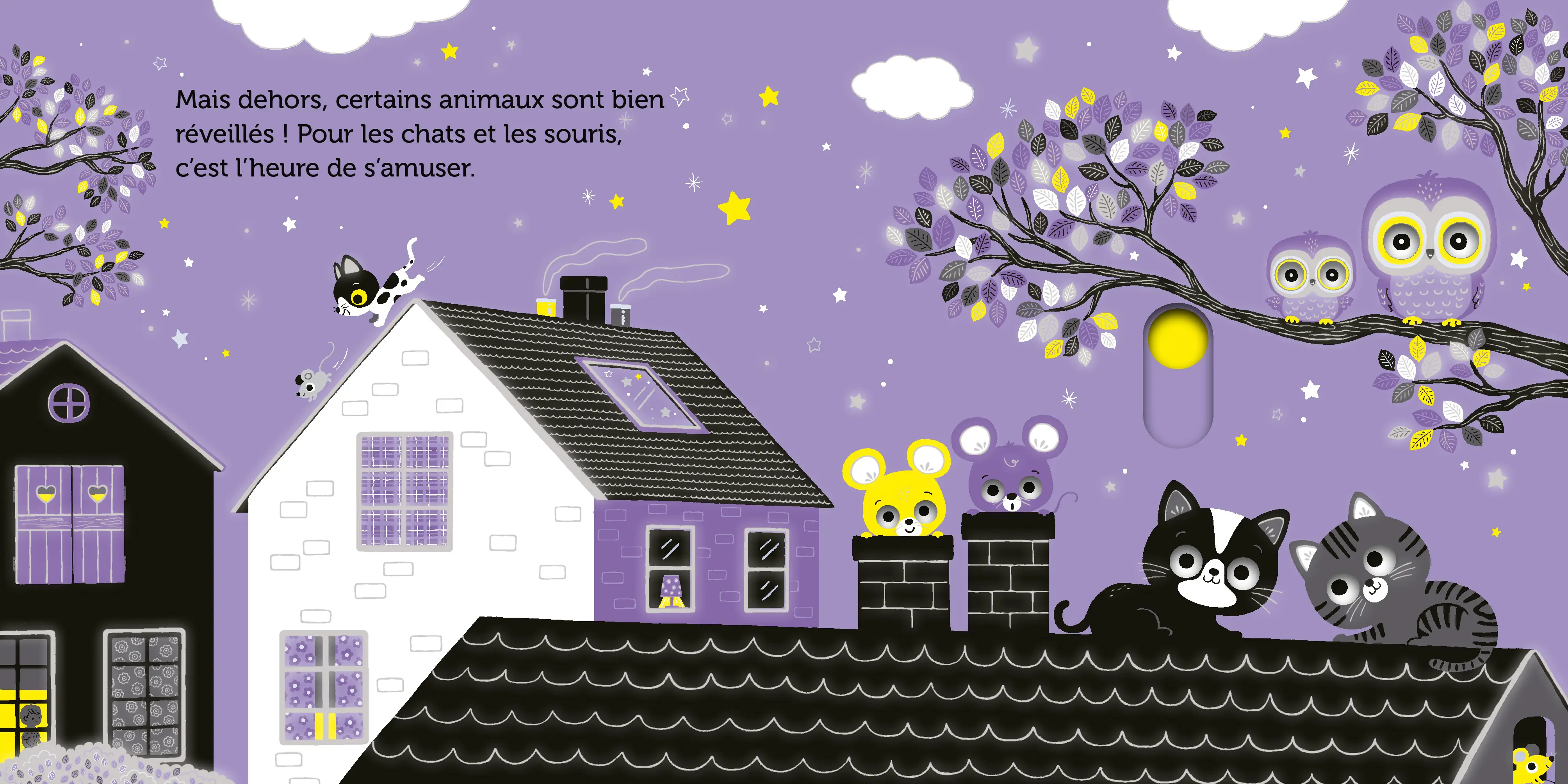 Promenade sous les étoiles -  livre d'éveil animé, pour les bébés dès 6 mois - Livre d'éveil - 9782092592717 - page intérieure1