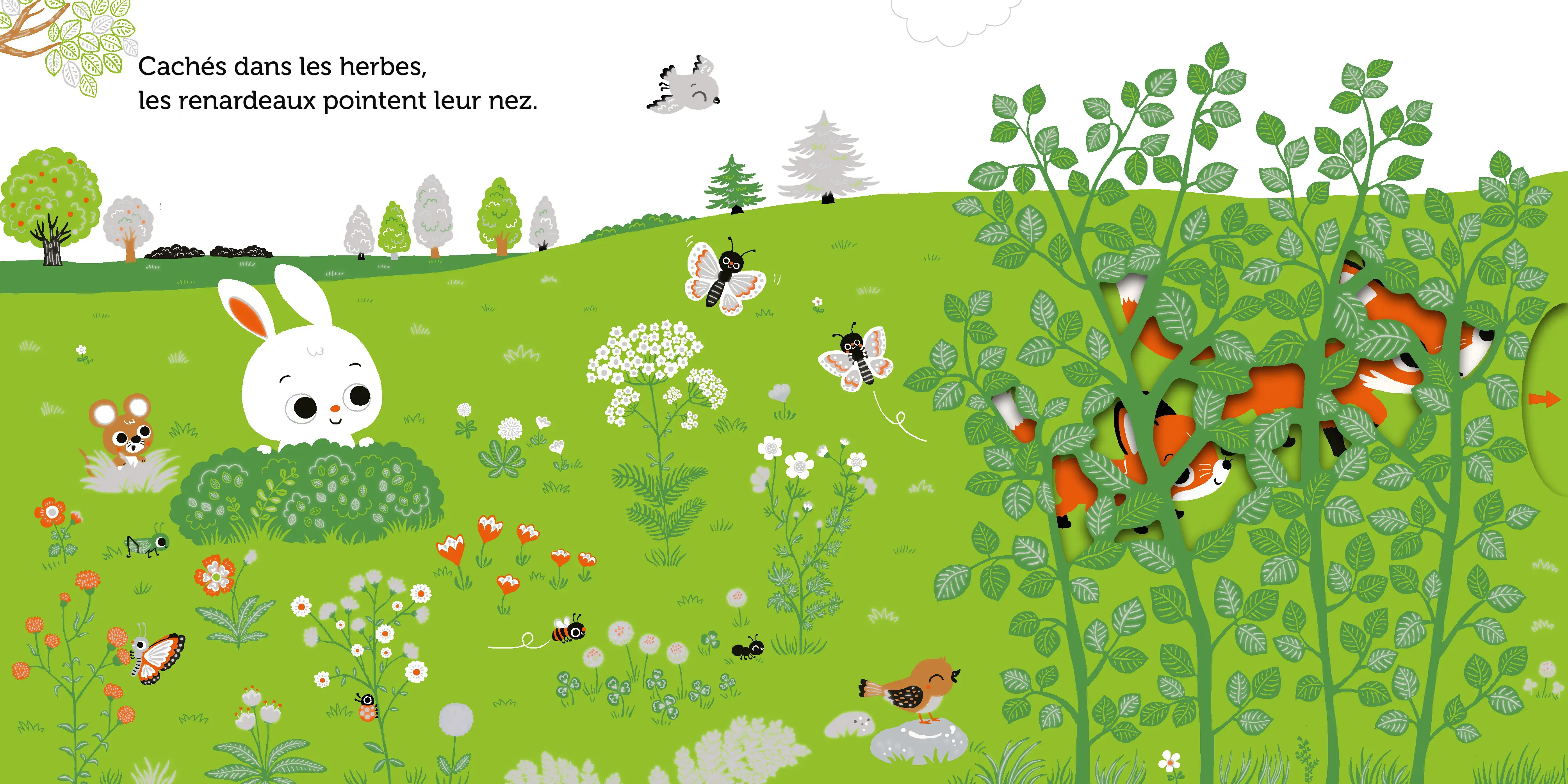 Promenade dans les prés - livre d'éveil animé, pour les bébés dès 6 mois - Livre d'éveil - 9782092592724 - page intérieure1