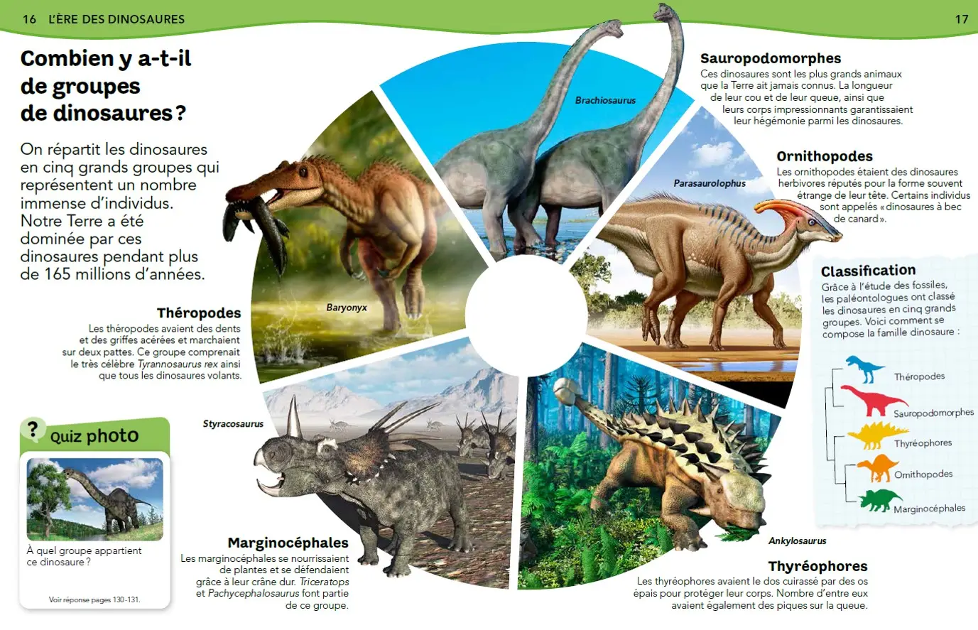 L'Encyclopédie des dinosaures - Questions/réponses - Dès 7 ans  - Livre documentaire - 9782092593271 - page intérieure1
