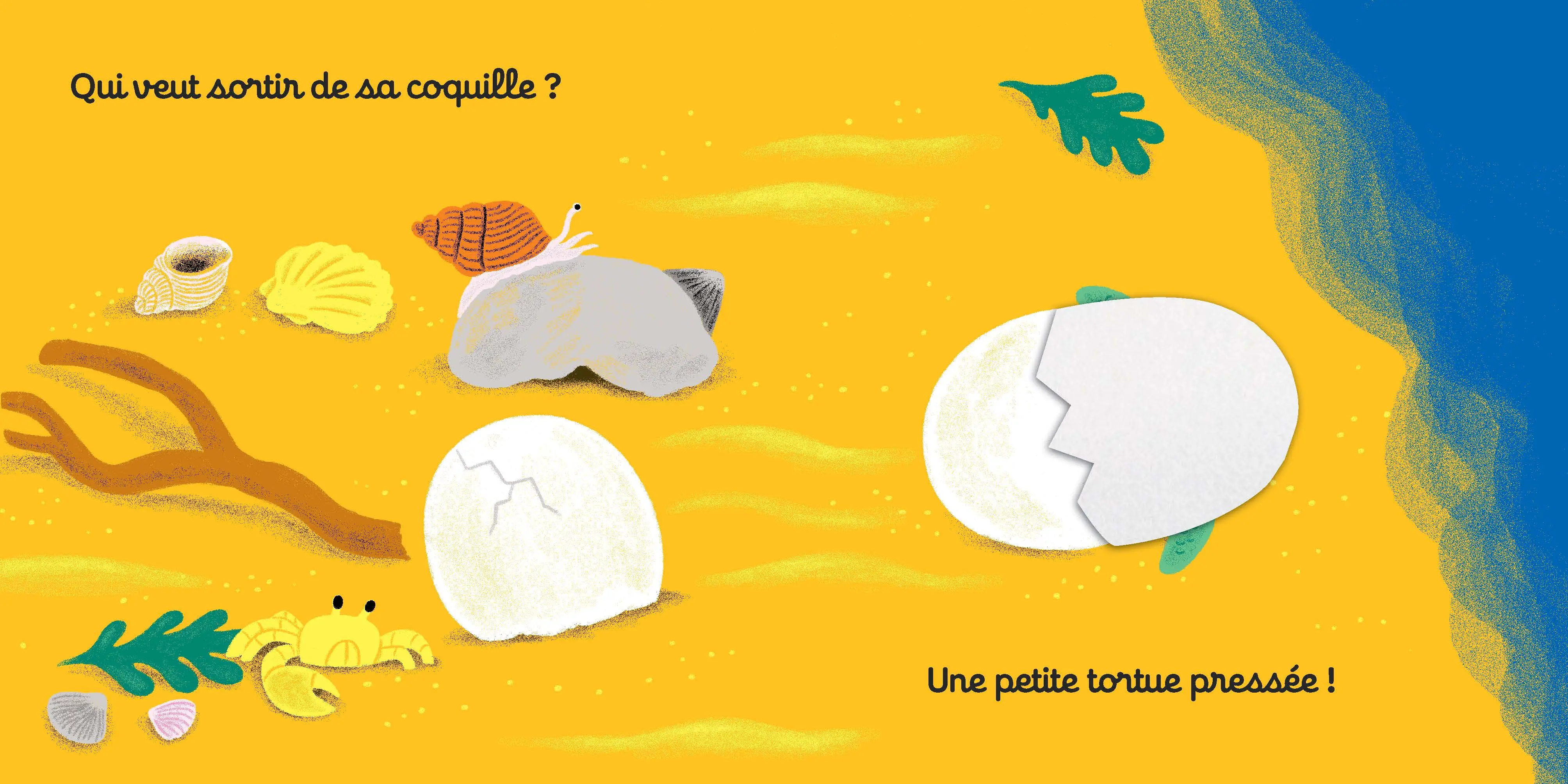 On se cache dans la mer - Livre à toucher - dès 6 mois  - Livre d'éveil - 9782092593745 - page intérieure1
