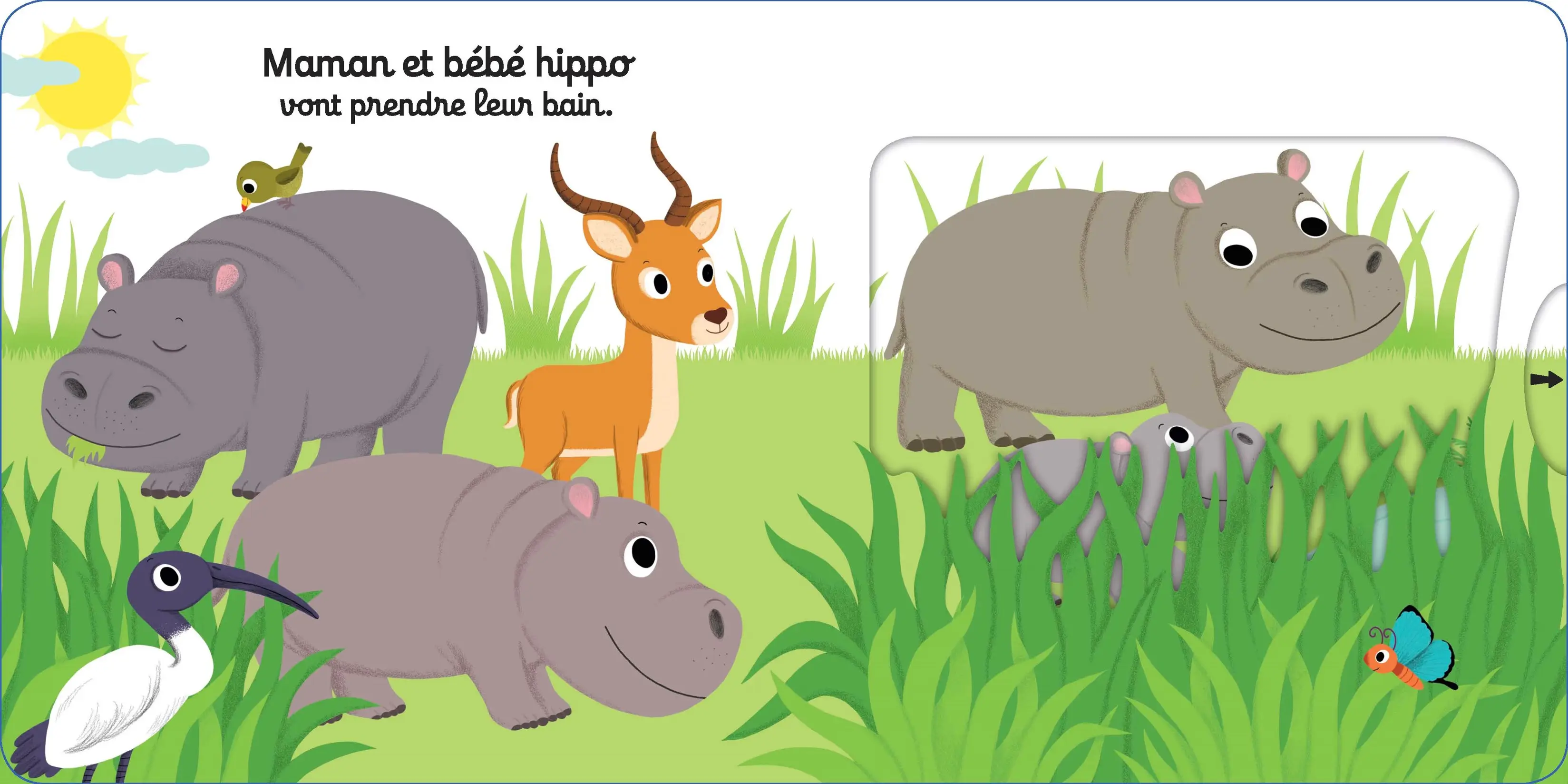 Kididoc - Au bain petit hippo ! - Zooparc de Beauval - Dès 1 an - Livre documentaire - 9782092596470 - page intérieure1