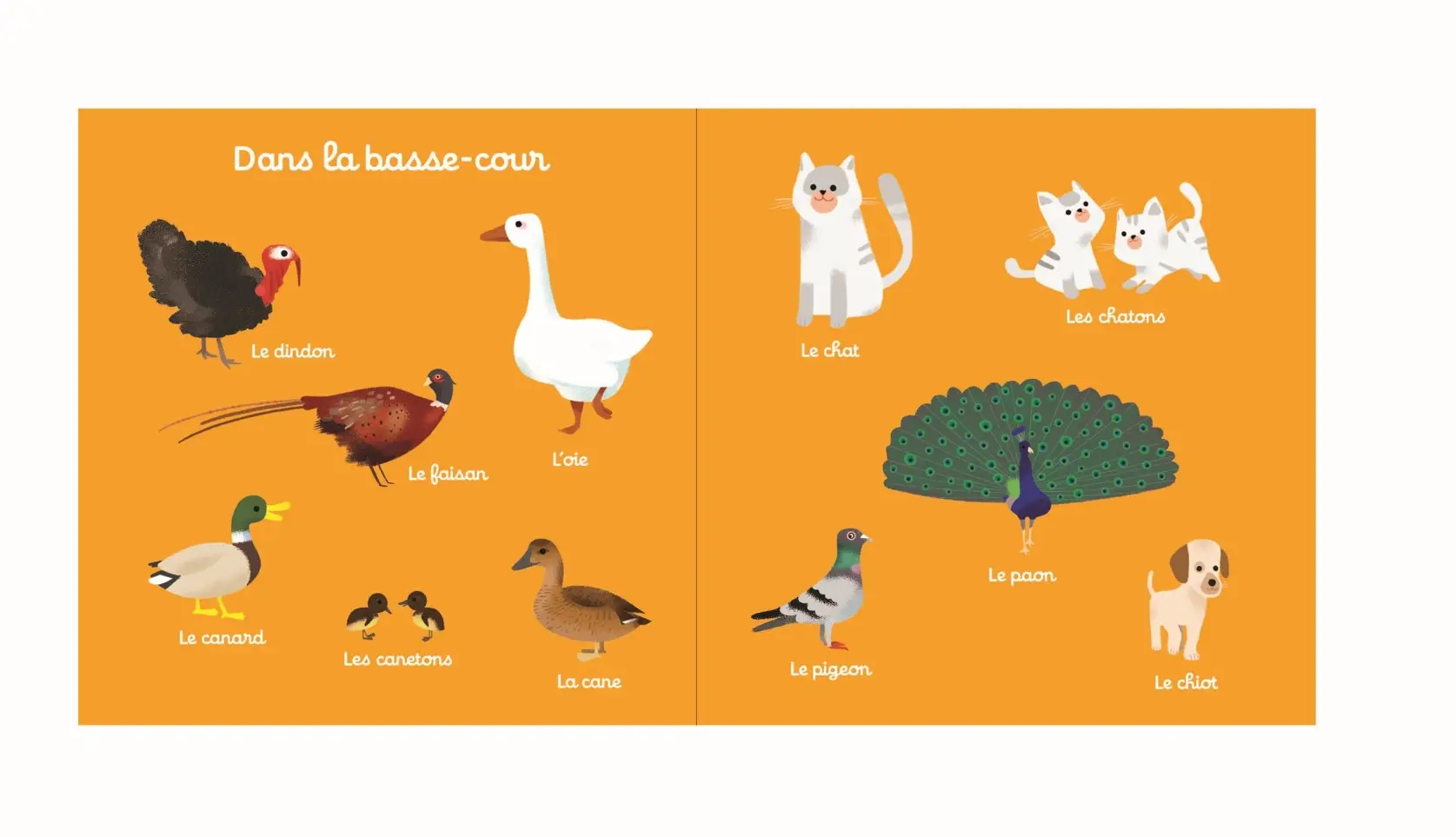 100 mots de la ferme - mon gros imagier - dès 10 mois - Livre d'éveil - 9782092791554 - page-interieure1