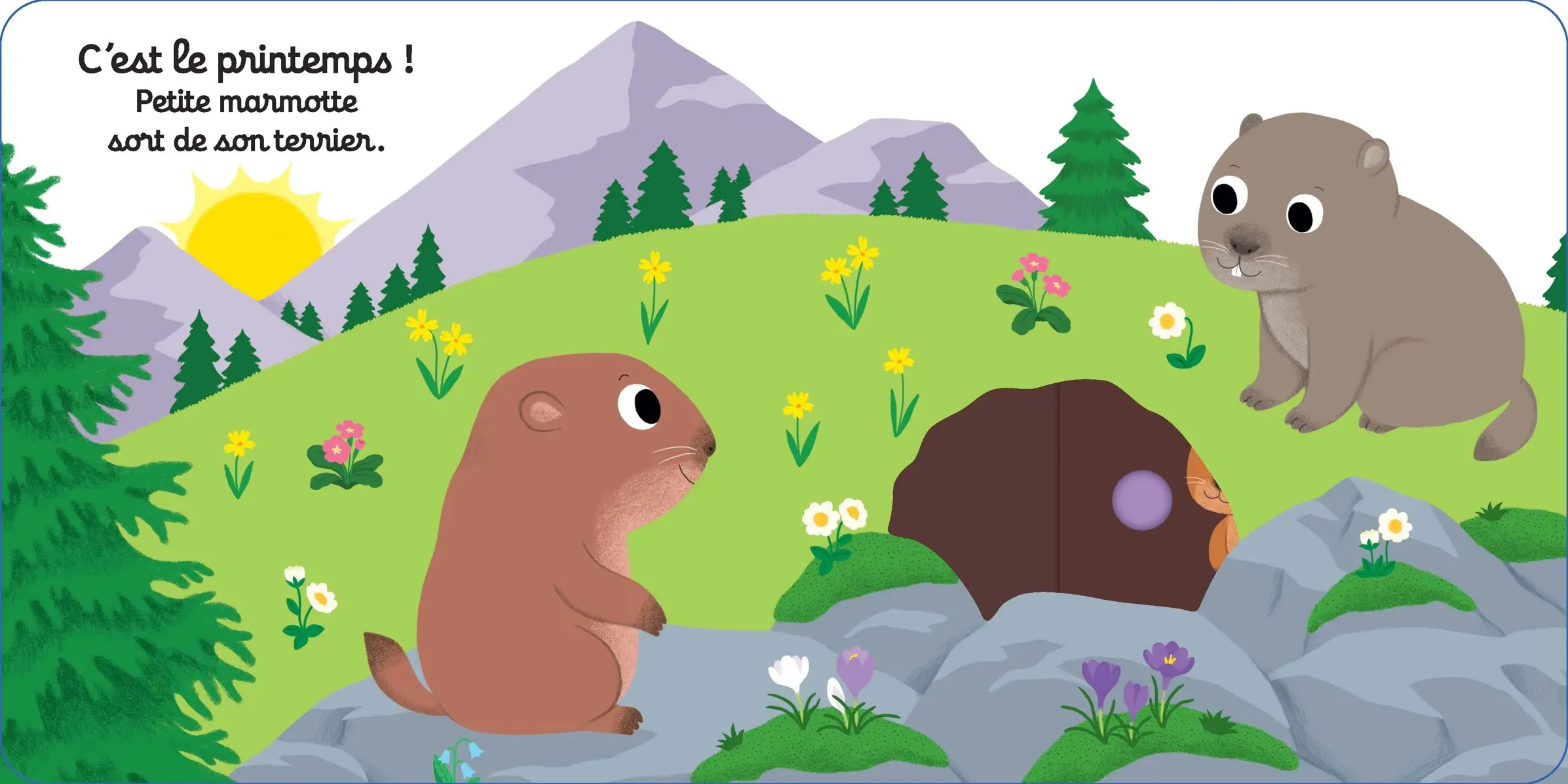Bonne nuit petite marmotte ! - Livre d'éveil animé pour les bébés dès 1 an - Livre documentaire - 9782095012908 - page-interieure1