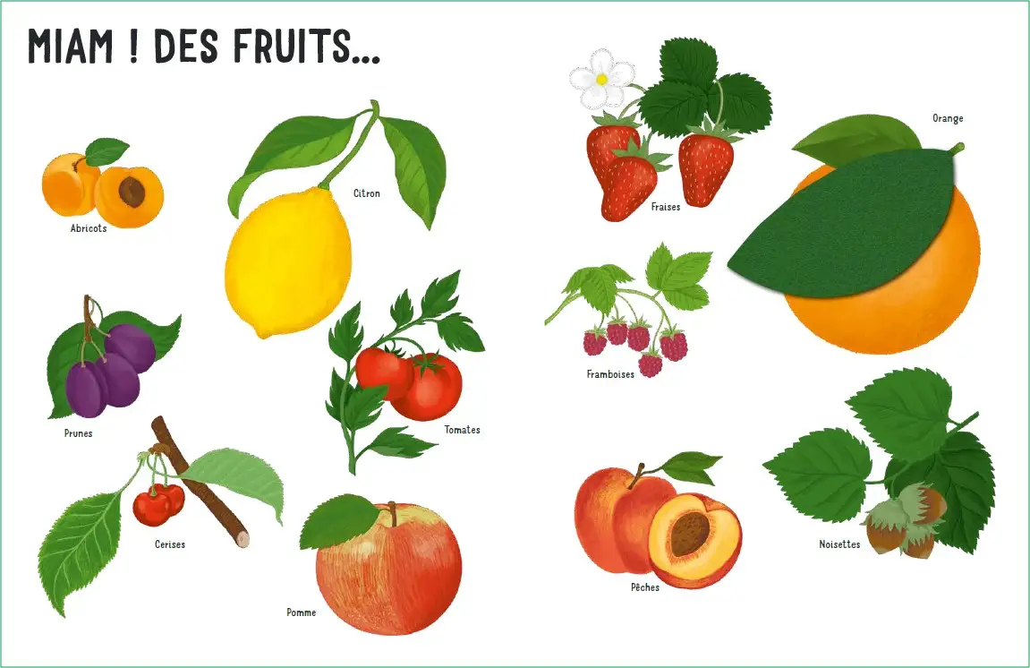 Dans mon jardin - Une promenade au jardin avec de grands flaps en feutrine - Dès 6 mois - Livre d'éveil - 9782095012922 - page-interieure1