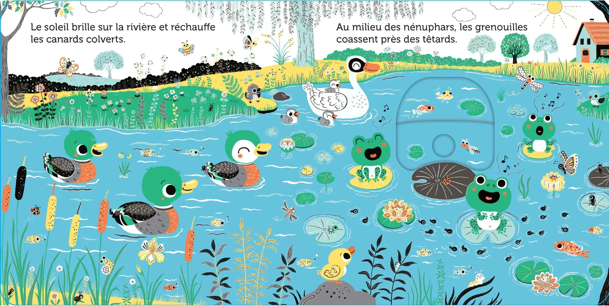 Promenade au bord de la rivière -  livre d'éveil animé, pour les bébés dès 6 mois - Livre d'éveil - 9782095013271 - page-interieure1