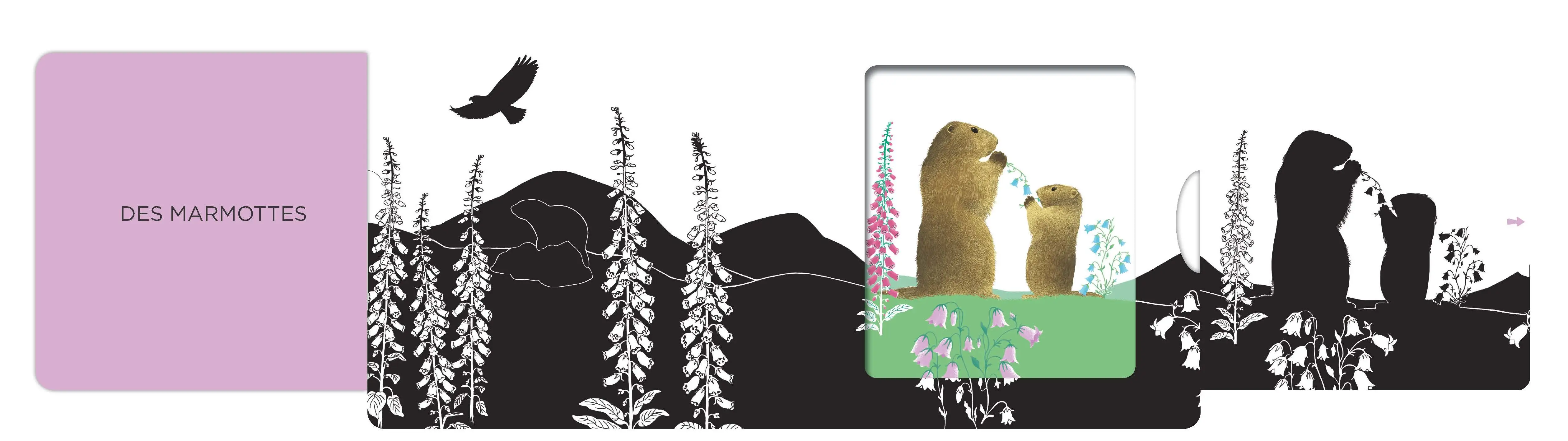 La montagne - Un livre en noir et blanc qui passe en couleurs grâce aux animations, pour les bébés des 6 mois. Les belles couleurs - Livre d'éveil - 9782095013851 - page-interieure1
