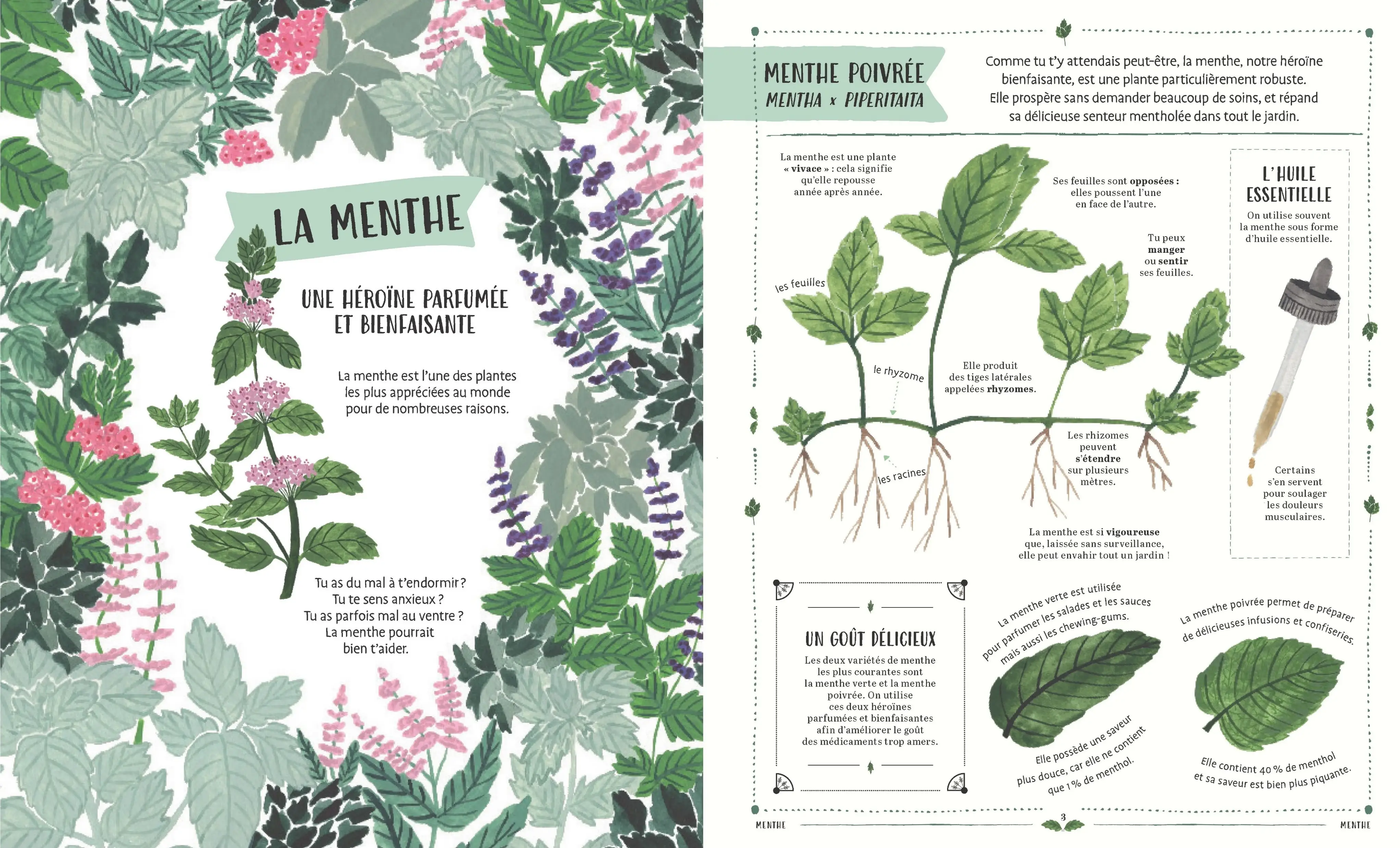 Plante - Fais pousser ton envie de jardiner ! Beau livre - Livre documentaire - 9782095028565 - page-intérieure1