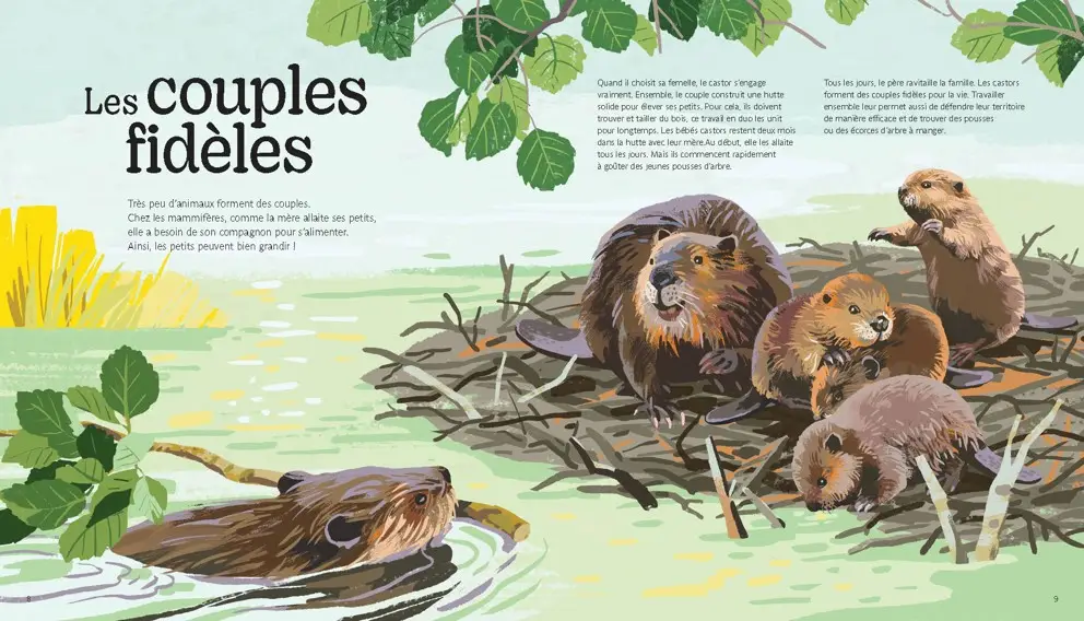 Drôles de familles - un documentaire animalier sur la vie de famille des animaux - dès 10 ans  - Livre documentaire - 9782095035464 - page-intérieure1